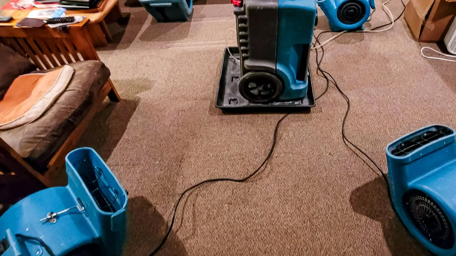 Dehumidifier and blue air movers set up on wet carpet to dry a room