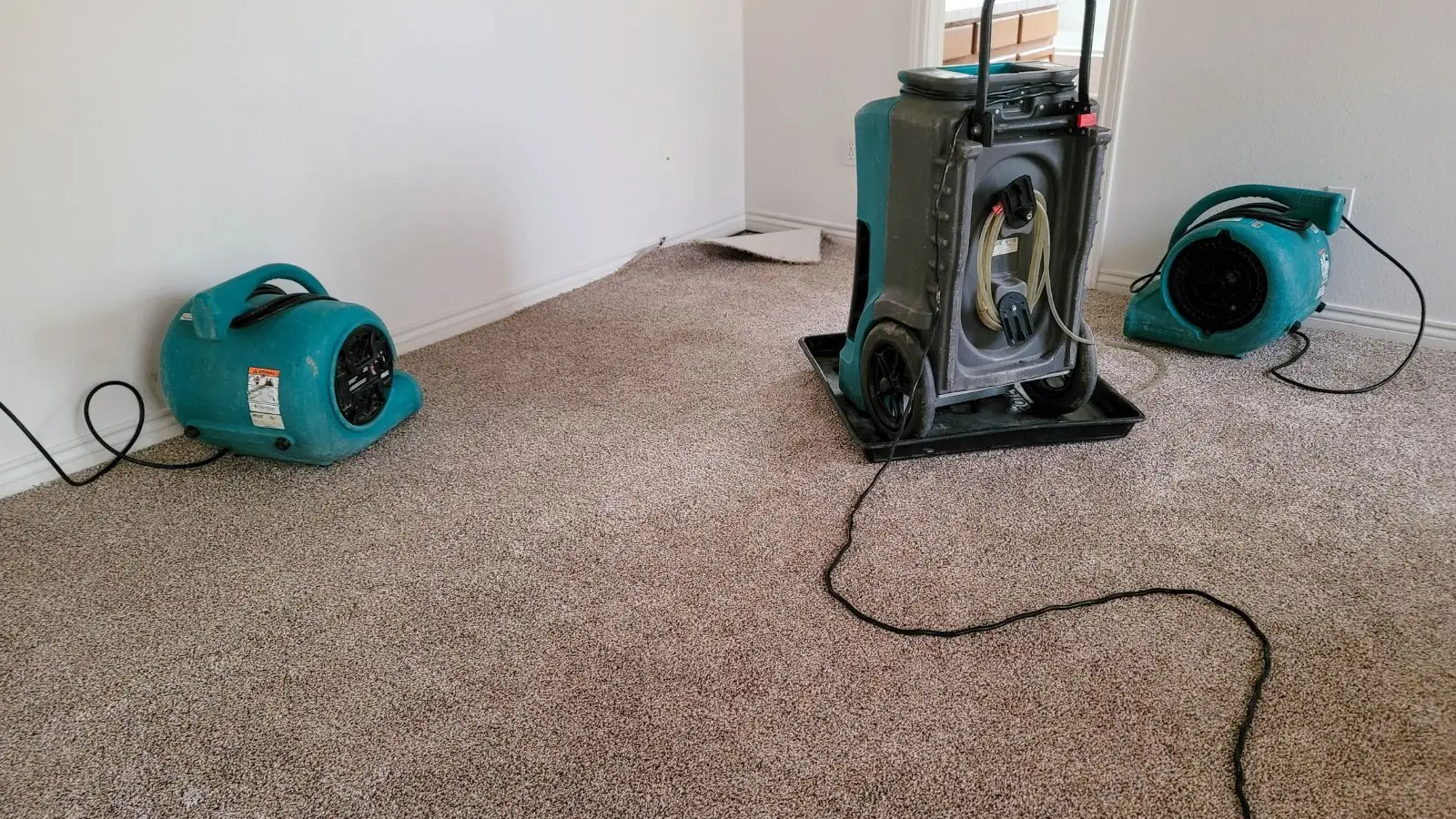 Desiccant dehumidifier and two air movers drying a carpeted room