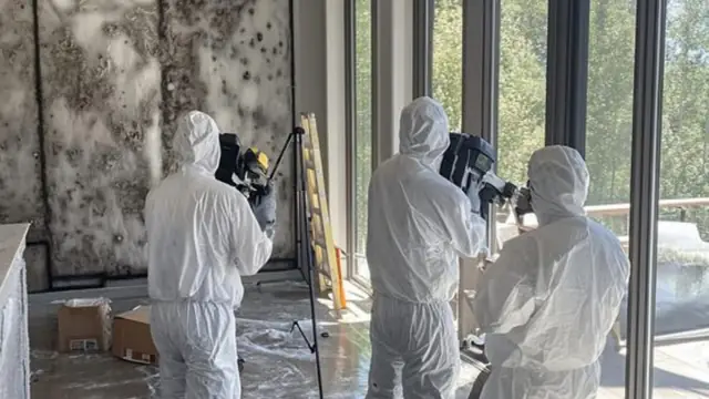 Three specialists in white protective suits documenting a heavily mold-covered wall with cameras
